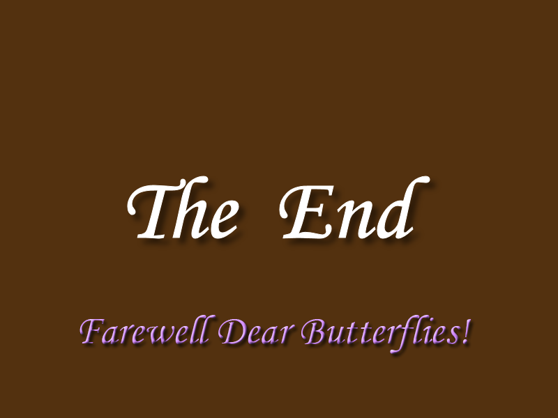ZFarewell Butterfly